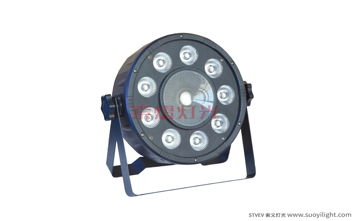 Brazil9+1 LED Plastic Par Light supplier