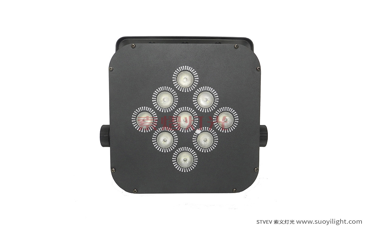 Brazil9*12W LED Wireless Battery Par Light manufacturer