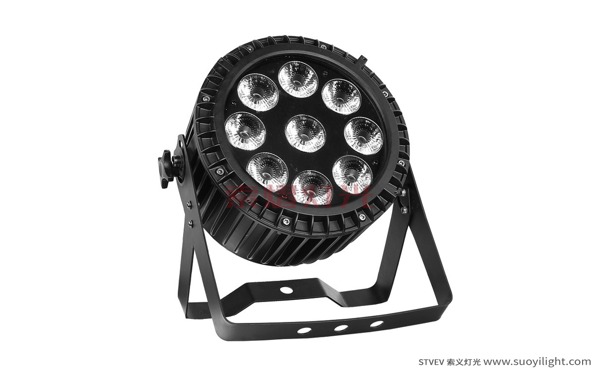 Brazil9*12W 4 in 1 Waterproof LED Par Light manufacturer