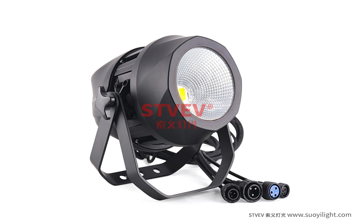 Brazil200W Waterproof COB Par Light quotation