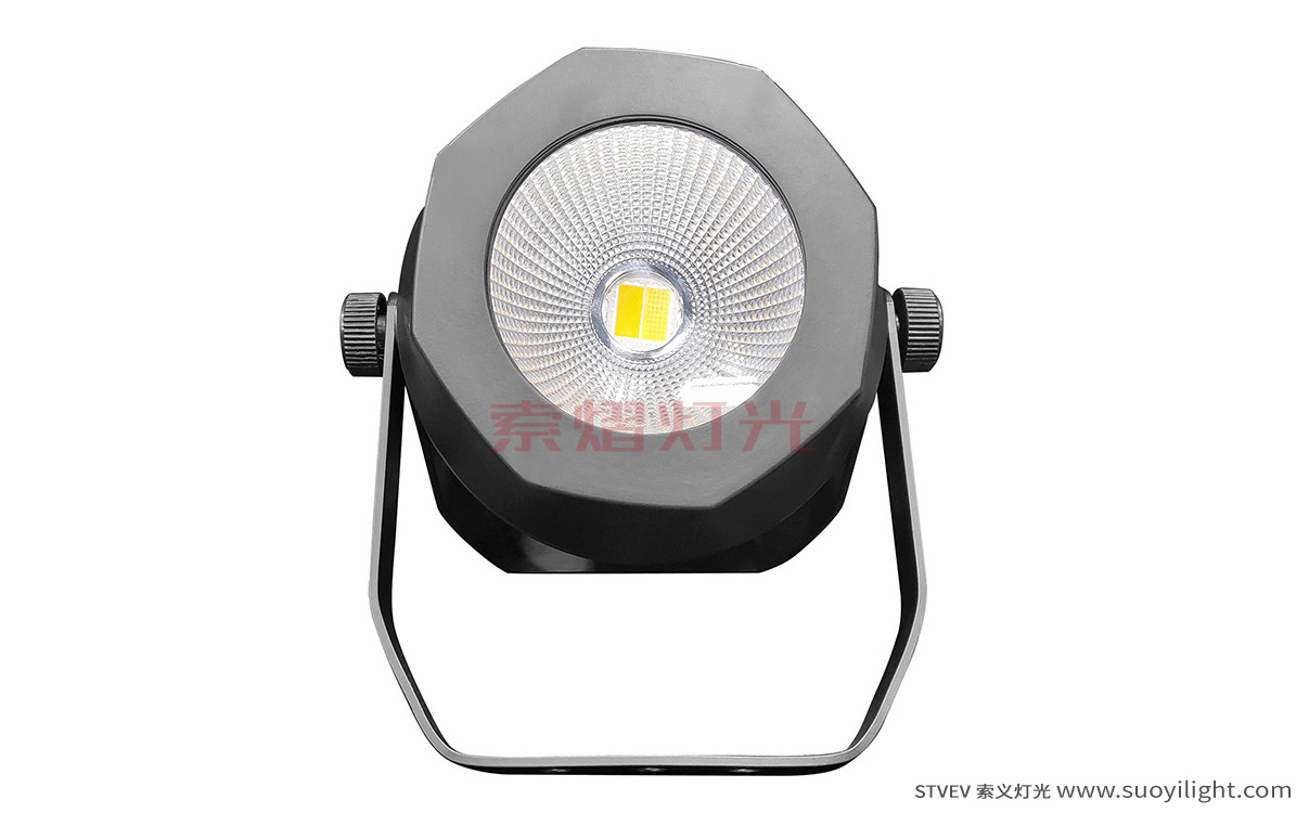 Brazil200W Waterproof COB Par LightFactory